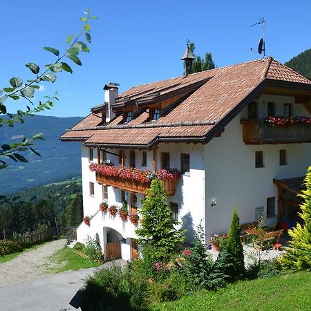 Baerntalerhof Villa Falzes Kültér fotó