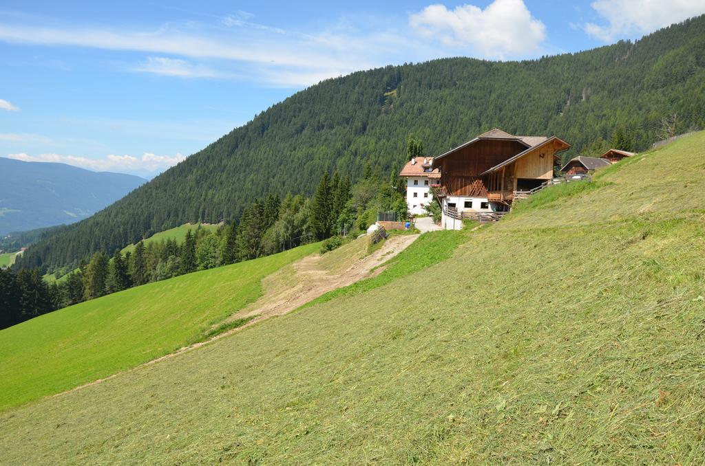 Baerntalerhof Villa Falzes Kültér fotó